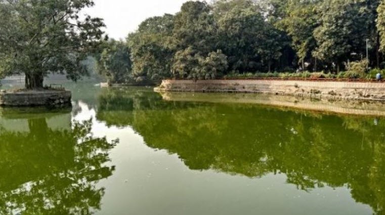 Prasad Nagar Lake, West Delhi, Delhi - Vushii.com Prasad Nagar Lake, West Delhi, Delhi - Vushii.com